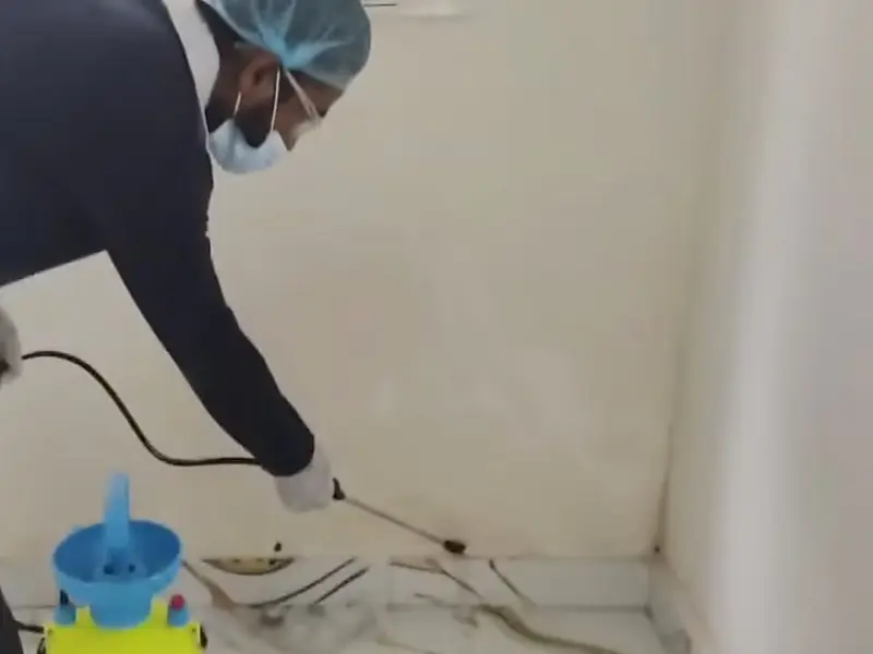 Technician spraying a wall corner with a hand sprayer
